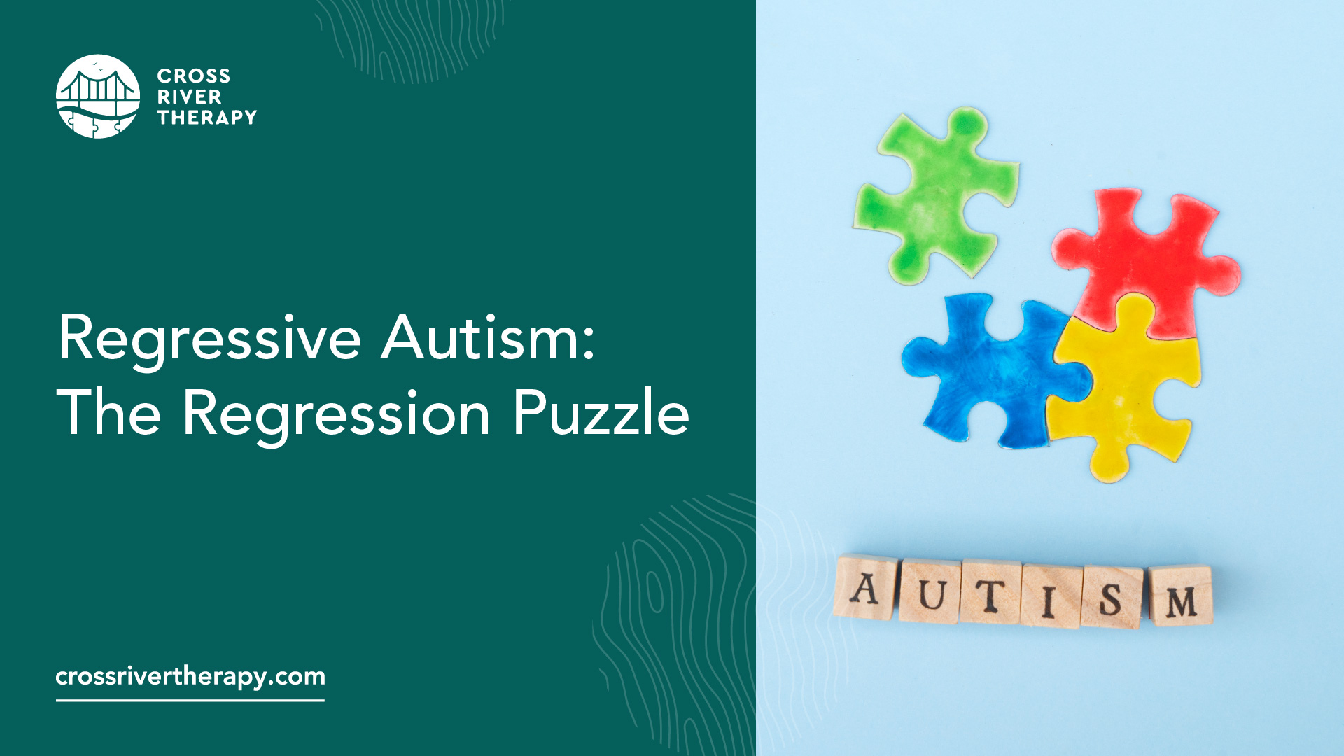 Regressive Autism The Regression Puzzle
